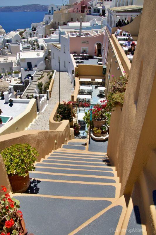 come organizzare un viaggio a Santorini, gerani
