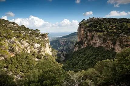 Von Peguera aus kannst du tolle Wanderungen unternehmen und sogar in den Westzipfel der Serra de Tramuntana vordringen.