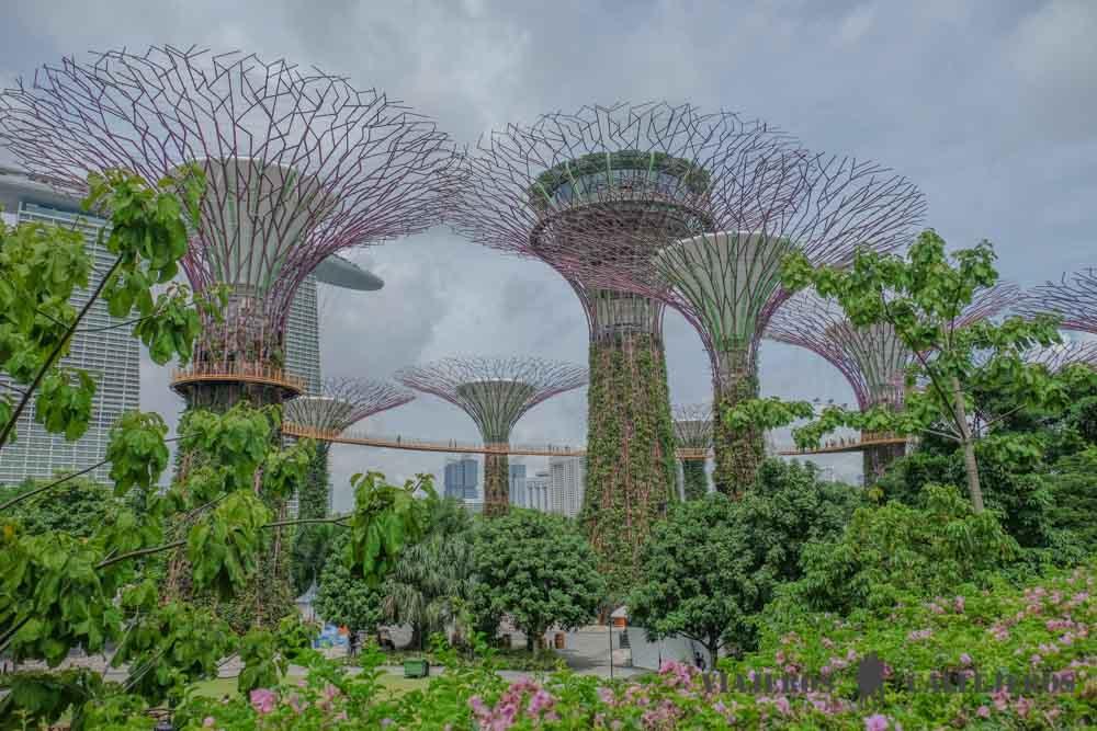 Dónde alojarse en Singapur, una de las ciudades más fascinantes del mundo