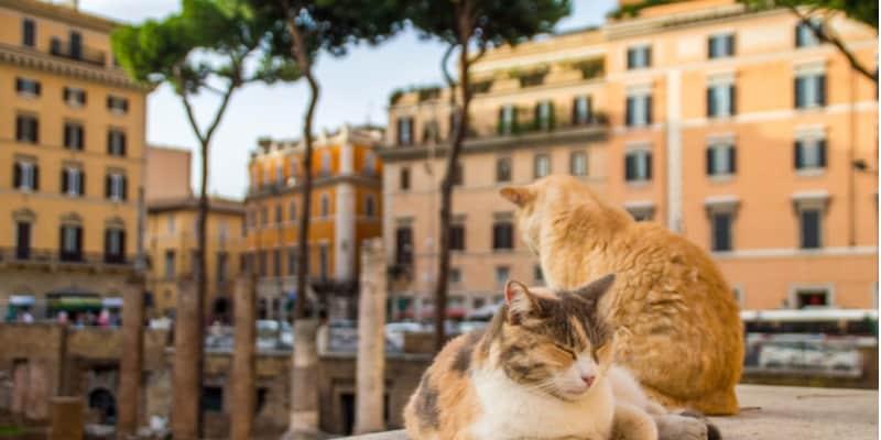 Curiosities about Rome: 10 things you (maybe) don't know