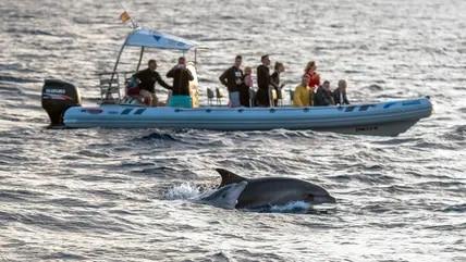 Mallorca: The 5 best activities in Peguera