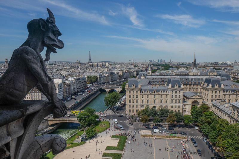 Catedral de Notre Dame